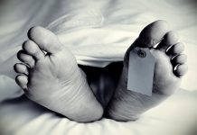 ਲੁਧਿਆਣਾ ‘ਚ ਨਾਈਟ ਡਿਊਟੀ ਕਰਕੇ ਆ ਰਹੇ ਵਿਅਕਤੀ ਦੀ ਸੜਕ ਹਾਦਸੇ ਦੌਰਾਨ ਮੌਤ