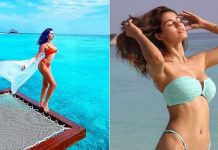 ਦਿਸ਼ਾ ਪਟਾਨੀ ਨੇ ਸਾਲ ਦੇ ਅੰਤ ‘ਚ ਦਿਖਾਇਆ ਆਪਣਾ ਬੋਲਡ ਅੰਦਾਜ਼, ਦੇਖੋ ਅਦਾਕਾਰਾ ਦੀਆ ਤਸਵੀਰਾਂ