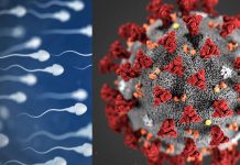 ਕੋਰੋਨਾ ਕਾਰਨ ਪਿਤਾ ਬਣਨਾ ਹੋ ਸਕਦਾ ਹੈ ਮੁਸ਼ਕਲ, ਨਵੇਂ ਅਧਿਐਨ ‘ਚ ਹੋਇਆ ਖੁਲਾਸਾ