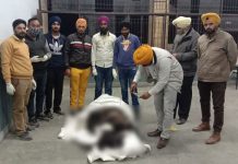 ਸ਼ੱਕੀ ਮ੍ਰਿਤਕ ਦੀ ਪਛਾਣ ਕਰਨ ਦੀਆਂ ਕੋਸ਼ਿਸ਼ਾਂ ਸ਼ੁਰੂ: 4 ਹਿੱਸਿਆਂ ‘ਚ ਵੰਡੀ ਗਈ ਲਾਸ਼, ਵੱਖ-ਵੱਖ ਥਾਵਾਂ ਤੋਂ ਮਿਲੇ 2 ਹਿੱਸੇ