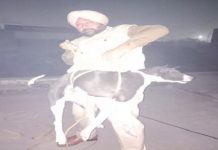 ASI ਨੇ ਬਚਾਈ ਕੁੱਤੇ ਦੀ ਜਾਨ