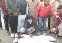 ਕਾਂਗਰਸ ਪੰਜਾਬ ਪ੍ਰਧਾਨ ਨਵਜੋਤ ਸਿੰਘ ਸਿੱਧੂ ਦਾ ਸਾੜਿਆ ਗਿਆ ਪੁਤਲਾ