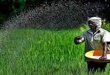 ਖਾਦ ਸਬਸਿਡੀ ‘ਚ ਵਾਧੇ ਨੂੰ ਮੰਤਰੀ ਮੰਡਲ ਨੇ ਦਿੱਤੀ ਪ੍ਰਵਾਨਗੀ