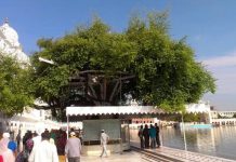 ਸ੍ਰੀ ਹਰਿਮੰਦਰ ਸਾਹਿਬ ਦੇ ਪਰਿਸਰ ਵਿੱਚ ਸਥਿਤ ਇਤਿਹਾਸਕ ਬੇਰੀਆ ਇੱਕ ਵਾਰ ਫਿਰ ਹੋਈਆਂ ਫਲਦਾਰ