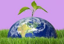 WORLD EARTH DAY 2022 : ਮਿੱਟੀ ਦੀ ਉਪਜਾਊ ਸ਼ਕਤੀ ਵਧਾਉਣ ਲਈ ਇਹਨਾਂ ਗੱਲਾਂ ਵੱਲ ਧਿਆਨ ਦੇਣ ਦੀ ਲੋੜ