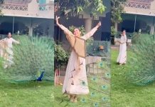 ਸ਼ਹਿਨਾਜ਼ ਗਿੱਲ ਨੇ ਆਪਣੇ ਹੱਥਾਂ ਨਾਲ ਮੋਰ ਨੂੰ ਖੁਆਏ ਦਾਣੇ,ਦੇਖੋ ਵਾਇਰਲ ਹੋ ਰਿਹਾ ਵੀਡੀਓ