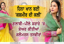 ਹਿਨਾ ਖਾਨ ਬਣੀ ‘ਕਸ਼ਮੀਰ ਦੀ ਕਲੀ’, ਗੁਲਾਬੀ-ਪੀਲੇ ਸ਼ਰਾਰੇ ‘ਚ ਸ਼ੇਅਰ ਕੀਤੀਆਂ ਗਲੈਮਰਸ ਤਸਵੀਰਾਂ