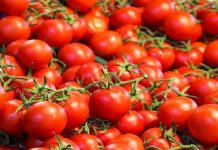 ਨਿੰਬੂ ਤੋਂ ਬਾਅਦ ਹੁਣ ਟਮਾਟਰਾਂ ‘ਤੇ ਚੜ੍ਹਨ ਲੱਗਾ ਮਹਿੰਗਾਈ ਦਾ ਰੰਗ