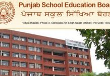 PSEB ਨੇ 8ਵੀਂ ਜਮਾਤ ਦੇ ਨਤੀਜੇ ਐਲਾਨੇ, 98.25 ਫ਼ੀਸਦੀ ਪ੍ਰੀਖਿਆਰਥੀ ਹੋਏ ਪਾਸ