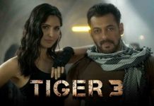 ਇੰਤਜ਼ਾਰ ਹੋਇਆ ਖ਼ਤਮ, ਸਲਮਾਨ ਖਾਨ ਦੀ ਫਿਲਮ ਟਾਈਗਰ 3 ਦੀ ਰਿਲੀਜ਼ ਡੇਟ ਆਈ ਸਾਹਮਣੇ