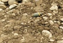 ਹਿਮਾਚਲ ਦੇ ਡਮਟਾਲ ਇਲਾਕੇ ‘ਚ ਮਿਲਿਆ ਹੈਂਡ ਗ੍ਰੇਨੇਡ, ਪੁਲਿਸ ਜਾਂਚ ‘ਚ ਜੁਟੀ