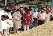 ਅਨਮੋਲ ਗਗਨ ਮਾਨ ਨੇ ਖਰੜ ਅਤੇ ਕੁਰਾਲੀ ਮੰਡੀ ਦਾ ਦੌਰਾ ਕਰਕੇ ਲਿਆ ਝੋਨੇ ਦੇ ਖ਼ਰੀਦ ਪ੍ਰਬੰਧਾਂ ਦਾ ਜਾਇਜ਼ਾ