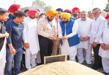 ਝੋਨੇ ਦਾ ਮੌਜੂਦਾ ਖ਼ਰੀਦ ਸੀਜ਼ਨ ਇਕ ਹਫ਼ਤੇ ‘ਚ ਹੋਵੇਗਾ ਮੁਕੰਮਲ: ਮੁੱਖ ਮੰਤਰੀ ਮਾਨ