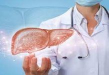 ਲੀਵਰ ਨੂੰ ਸਿਹਤਮੰਦ ਰੱਖਣ ਲਈ ਰੱਖੋ ਇਨ੍ਹਾਂ ਤਿੰਨ ਗੱਲਾਂ ਦਾ ਖਾਸ ਧਿਆਨ, ਬੀਮਾਰੀਆਂ ਰਹਿਣਗੀਆਂ ਦੂਰ