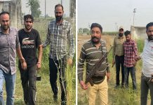 ਪੰਜਾਬ ਅਤੇ ਦਿੱਲੀ ਪੁਲਸ ਦਾ ਸਾਂਝਾ ਆਪ੍ਰੇਸ਼ਨ, 5 ਗੈਂਗਸਟਰ ਫੜੇ: ਹਥਿਆਰ ਵੀ ਬਰਾਮਦ, 7 ਘੰਟੇ ਚੱਲਿਆ ਸਰਚ ਆਪਰੇਸ਼ਨ