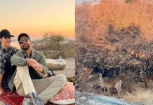 ਜੰਗਲ ‘ਚ ਆਪਣੇ ਪਤੀ ਨਾਲ ਰੋਮਾਂਟਿਕ ਅੰਦਾਜ਼ ‘ਚ ਨਜ਼ਰ ਆਈ ਕੈਟਰੀਨਾ ਕੈਫ, ਦੇਖੋ ਵਾਇਰਲ ਤਸਵੀਰਾਂ