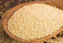 ਤੁਸੀਂ ਇਨ੍ਹਾਂ ਤਰੀਕਿਆਂ ਨਾਲ ਖਸਖਸ ਦੀ ਵਰਤੋਂ ਕਰਕੇ ਵਧਦੇ ਭਾਰ ਨੂੰ ਕਰ ਸਕਦੇ ਹੋ ਕੰਟਰੋਲ