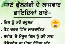 Health Tips