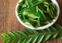 ਛੋਟਾ ਜਿਹਾ ਕੜੀ-ਪੱਤਾ ਵਾਲਾਂ ਦੀਆਂ ਵੱਡੀਆਂ ਸਮੱਸਿਆਵਾਂ ਨੂੰ ਕਰੇ ਦੂਰ, ਜਾਣੋ ਇਸਨੂੰ ਇਸਤੇਮਾਲ ਕਰਨ ਦਾ ਤਰੀਕਾ