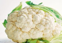 ਇਨ੍ਹਾਂ ਲੋਕਾਂ ਨੂੰ ਭੁੱਲ ਕੇ ਵੀ ਨਹੀਂ ਖਾਣੀ ਚਾਹੀਦੀ ਫੁੱਲ ਗੋਭੀ, ਵਿਗੜ ਜਾਵੇਗੀ ਸਿਹਤ!