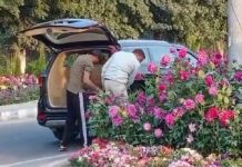 G-20 ਸੰਮੇਲਨ ਲਈ ਲਿਆਂਦੇ ਫੁੱਲ ਚੋਰੀ, 40 ਲੱਖ ਦੀ ਕਾਰ ‘ਚ ਆਏ ਚੋਰ