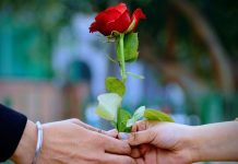 Valentine Week 2023: ਅੱਜ ਮਨਾਇਆ ਜਾ ਰਿਹਾ ਹੈ Rose Day, ਜਾਣੋ ਪਿਆਰ ਦੇ ਹਫਤੇ ਦੀ ਪੂਰੀ ਡੇਟਸ਼ੀਟ