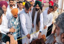 ਸਾਹੀਵਾਲ ਗਾਵਾਂ ਨੂੰ ਪੰਜਾਬ ਭਰ ‘ਚ ਉਤਸ਼ਾਹਿਤ ਕਰਨ ਲਈ ਹਰ ਸਾਲ ਹੋਵੇਗਾ ਕੌਮੀ ਨਸਲ ਸੁਧਾਰ ਮੇਲਾ: ਲਾਲਜੀਤ ਸਿੰਘ ਭੁੱਲਰ