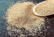 ਹੱਡੀਆਂ ਨੂੰ ਮਜ਼ਬੂਤ ਬਣਾਉਂਦੇ ਹਨ ਇਹ ਖਾਸ ਬੀਜ, ਹੋਰ ਫਾਇਦੇ ਜਾਣ ਕੇ ਹੋ ਜਾਓਗੇ ਹੈਰਾਨ!