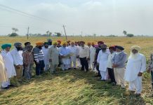 ਬੇਮੌਸਮੀ ਬਰਸਾਤ ਕਾਰਨ ਫ਼ਸਲ ਖ਼ਰਾਬੇ ਦਾ ਜਾਇਜ਼ਾ ਲੈਣ ਲਈ ਵਿਧਾਇਕ ਸਰਵਣ ਸਿੰਘ ਧੁੰਨ ਨੇ ਪਿੰਡ ਸੁਰਸਿੰਘ ਦਾ ਕੀਤਾ ਦੌਰਾ
