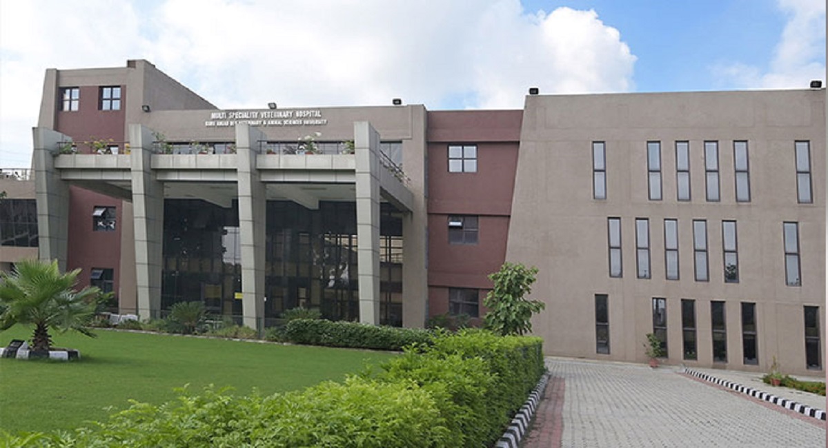 Ludhiana Veterinary University change hospital timings