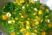 ਹਰੇ ਪਿਆਜ਼ ਦੀ ਸਬਜ਼ੀ ਖਾਣ ਨਾਲ ਅੱਖਾਂ ਰਹਿਣਗੀਆਂ ਤੰਦਰੁਸਤ, ਜਾਣੋ ਸਬਜ਼ੀ ਬਣਾਉਣ ਦੀ ਵਿਧੀ