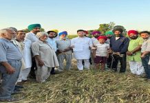 ਰਾਘਵ ਚੱਢਾ ਨੇ ਕਿਸਾਨਾਂ ਦੀ ਖਰਾਬ ਹੋਈ ਫਸਲ ਦੇ ਮੁਆਵਜ਼ੇ ਲਈ ਵਿੱਤ ਮੰਤਰੀ ਨਿਰਮਲਾ ਸੀਤਾਰਮਨ ਨੂੰ ਲਿਖਿਆ ਪੱਤਰ