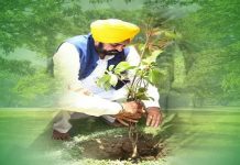 CM ਮਾਨ ਨੇ ਵਿਸ਼ਵ ਵਾਤਾਵਰਨ ਦਿਵਸ ‘ਤੇ ਲੋਕਾਂ ਨੂੰ ਦਿੱਤਾ ਇਹ ਸੁਨੇਹਾ