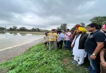 ਪਟਿਆਲਾ ਦਿਹਾਤੀ ਹਲਕੇ ‘ਚ ਪੈਂਦੇ ਸ਼ਹਿਰੀ ਤੇ ਹੋਰ ਇਲਾਕਿਆਂ ਦਾ ਕੀਤਾ ਦੌਰਾ, ਨੀਵੇਂ ਥਾਵਾਂ ‘ਚ ਭਰਿਆ ਪਾਣੀ ਕਢਵਾਇਆ