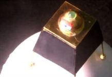 ਤਾਮਿਲਨਾਡੂ ਦੇ ਲਘੂ ਕਲਾਕਾਰ ਨੇ ਬਣਾਇਆ ਸੋਨੇ ਦਾ ਚੰਦਰਯਾਨ