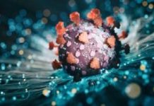 ਅਮਰੀਕਾ ‘ਚ ਵੱਧ ਰਹੇ ਹਨ ਕੋਰੋਨਾ ਦੇ ਮਾਮਲੇ, ਜਾਣੋ ਮਾਹਿਰਾਂ ਤੋਂ ਇਸਦੇ ਨਵੇਂ ਰੂਪ ਬਾਰੇ