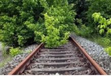 ਜਲੰਧਰ-ਲੁਧਿਆਣਾ ਰੇਲਵੇ ਲਾਈਨ ‘ਤੇ ਡਿੱਗਿਆ ਦਰੱਖਤ, ਆਵਾਜਾਈ ਪ੍ਰਭਾਵਿਤ, ਯਾਤਰੀ ਹੋਏ ਪਰੇਸ਼ਾਨ