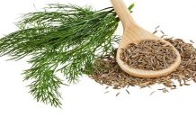 ਭਾਰ ਘਟਾਉਣ ਦੇ ਨਾਲ- ਨਾਲ ਨੀਂਦ ’ਚ ਵੀ ਗੁਣਕਾਰੀ ਹੈ ਇਹ ਭਾਰਤੀ ਮਸਾਲਾ