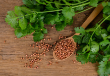 ਹਰੇ ਧਨੀਏ ਦਾ ਇਹ ਤਰੀਕਾ ਕਰ ਸਕਦਾ ਸਿਹਤਮੰਦ, ਔਰਤਾਂ ਨੂੰ ਹੋਵੇਗਾ ਬਹੁਤ ਫਾਇਦਾ