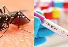 ਚੰਡੀਗੜ੍ਹ ‘ਚ ਡੇਂਗੂ ਦਾ ਕਹਿਰ: ਮਰੀਜ਼ਾਂ ਦੀ ਗਿਣਤੀ 250 ਤੋਂ ਪਾਰ, ਵਾਇਰਲ ਬੁਖਾਰ ਦਾ ਵੀ ਖਤਰਾ ਵਧਿਆ