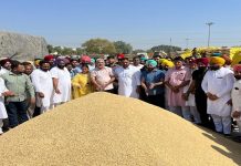 ਖੁਰਾਕ ਤੇ ਸਿਵਲ ਸਪਲਾਈ ਮੰਤਰੀ ਕਟਾਰੂਚੱਕ ਨੇ ਰਾਜਪੁਰਾ ਵਿਖੇ ਝੋਨੇ ਦੀ ਖਰੀਦ ਕਰਵਾਈ ਸ਼ੁਰੂ