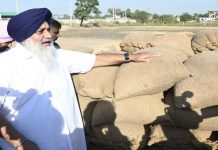 ਸੁਖਬੀਰ ਸਿੰਘ ਬਾਦਲ ਨੇ ਕੁਰਾਲੀ ਅਨਾਜ ਮੰਡੀ ਦਾ ਕੀਤਾ ਦੌਰਾ, ਸ਼ੈਲਰ ਮਾਲਕਾਂ ਤੇ ਕਿਸਾਨਾਂ ਨਾਲ ਕੀਤੀ ਗੱਲਬਾਤ