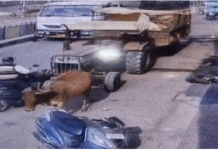 ਸਿਰਸਾ ‘ਚ ਟਰੈਕਟਰ-ਟਰਾਲੀ ਦਾ ਸਾਹਮਣੇ ਖੜ੍ਹੇ ਸਕੂਟੀ ਸਵਾਰ ‘ਤੇ ਪਹੀਆ ਚੜਿਆ