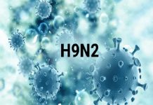 H9N2 ਵਾਇਰਸ ਨੂੰ ਲੈ ਕੇ ਹਰਿਆਣਾ ‘ਚ ਅਲਰਟ ਜਾਰੀ