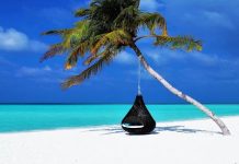 ਦੁਨੀਆ ਦਾ ਸਭ ਤੋਂ ਅਜੀਬ ਟਾਪੂ, ਜਿੱਥੇ ਸਹੂਲਤ ਦੇ ਨਾਂ ‘ਤੇ ਕੁਝ ਨਹੀਂ ਮਿਲੇਗਾ, ਫਿਰ ਵੀ ਜਾਂਦੇ ਨੇ ਹਜ਼ਾਰਾਂ ਸੈਲਾਨੀ