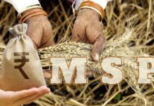 MSP ਹੁੰਦੀ ਕੀ ਹੈ? ਕੀ MSP ਮਿਲਣ ਨਾਲ ਮੁੱਕ ਜਾਵੇਗੀ ਕਿਸਾਨਾਂ ਦੀ ਮੁਸੀਬਤ ?