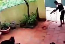 ਕੁੜੀ ਨੂੰ ਅਗਵਾ ਕਰਨ ਆਇਆ ਸੀ ਬਦਮਾਸ਼ ! ਫਿਰ ਕੁੱਤੇ ਨੇ ਹੀਰੋ ਵਾਂਗ ਬਚਾਇਆ