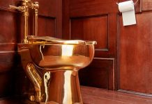 50 ਕਰੋੜ ਰੁਪਏ ਦੇ ਟੌਇਲਟ ਚੋਰੀ ਕਰਨ ਵਾਲੇ ਵਿਅਕਤੀ ਨੇ ਕਬੂਲਿਆ ਗੁਨਾਹ