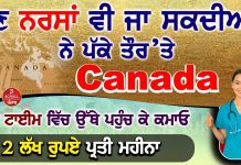 ਹੁਣ ਨਰਸਾਂ ਕੋਲ ਕੈਨੇਡਾ ਜਾ ਕੇ ਕੰਮ ਕਰਨ ਅਤੇ PR ਹੋਣ ਦਾ ਸੁਨਿਹਰਾ ਮੌਕਾ, ਇਹ ਹੋਣੀ ਚਾਹੀਦੀ ਹੈ ਯੋਗਤਾ