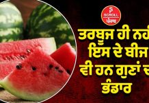 ਤਰਬੂਜ ਹੀ ਨਹੀਂ ਇਸ ਦੇ ਬੀਜ ਵੀ ਹਨ ਗੁਣਾਂ ਦਾ ਭੰਡਾਰ